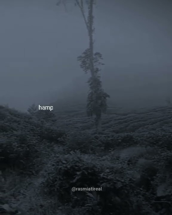 hampa - ari lasso || story wa #storywa #storylagu #lagu #liriklagu #lagubaper #lagurindu