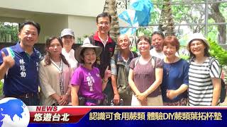 1070719【悠遊台北新聞】認識可食用蕨類 體驗DIY蕨類葉拓碑墊(記者 黃翎娟)
