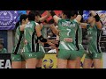 女子バレーVリーグ、アリーナ席