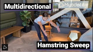 Multidirectional Hamstring Sweep