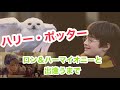 孤独な主人公ハリーの半生