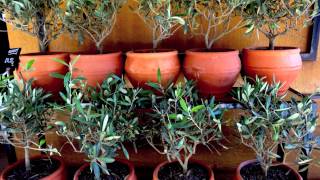 Google Glass: Grab Learning screenshot 4