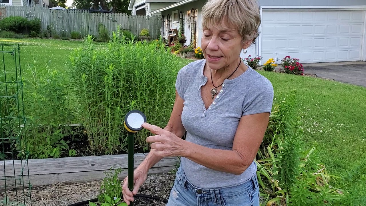 Dramm soaker hose and rainwand