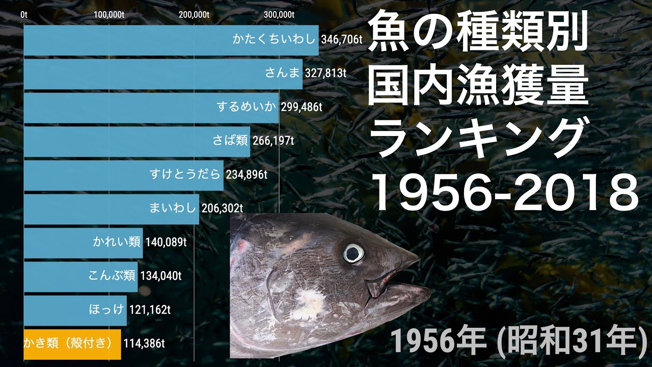 魚の種類別 国内漁獲量ランキングの推移 1956 18 動画でわかる統計 データ Youtube