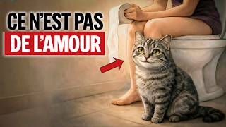 Si Votre Chat Vous Suit Jusquaux Toilettes Ce Nest Pas De Lamour