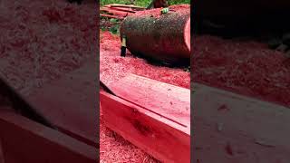 wood splitting technique with a saw machine #shorts