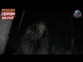 10 real skunk ape sightings floridas big foot