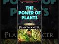 [0.5] PoE 2 – PLANTS ARE AN OP LEAGUE STARTER – RETURN OF THE ANCIENTS - PATH OF EXILE 2
