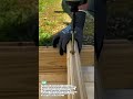 Perfect Wood Groove Trick Every Builder Should Know