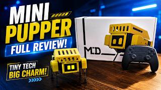 Mini Pupper Review! Tiny Robot Dog With Big Personality