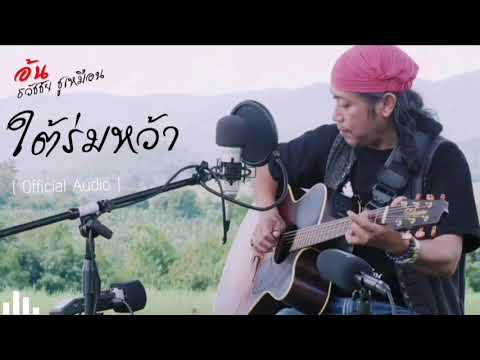 อ้น ธวัชชัย ชูเหมือน เพลงใต้ร่มหว้า [Office Audio]