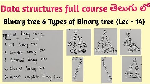 types of binary tree | Full binary tree | complete | extended | skewed | almost complete binary tree