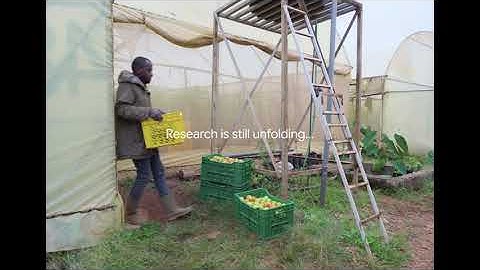 How AI is Helping to Protect the World’s Crops | AlphaFold Impact Stories