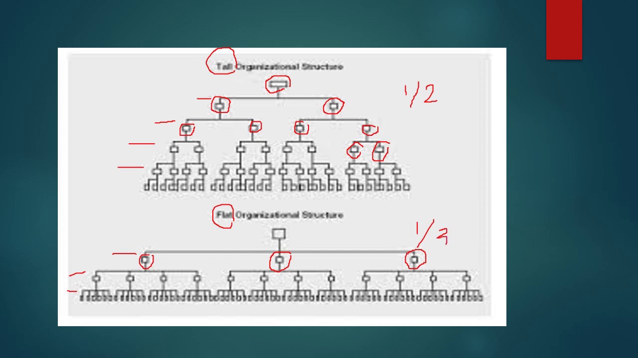 Managerial studies: Span of control, departmentalization, centralization