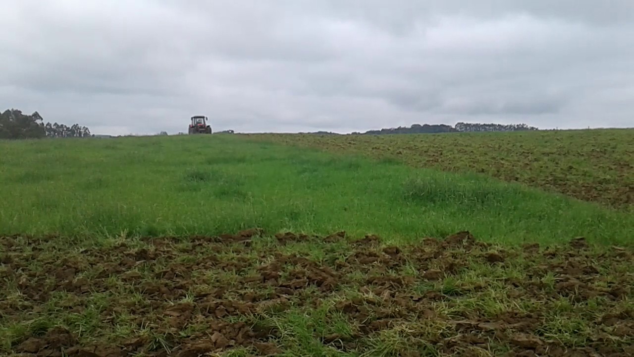 Mf4290 turbo intercooler no subsolador 💪 YouTube