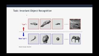SueYeon Chung | Computing with Neural Manifolds