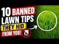 10 BANNED Beginner Lawn Tips the Industry Quietly Erased 😱 | Old-School Lawn Secrets That Still Work