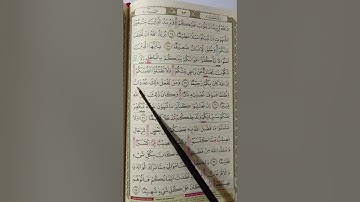 تلاوة تعليمية للصفحة83من سورة (النساء)