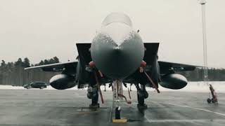 f 15 eagle freedom fighter