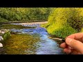 Easy Techniques to Paint Realistic Rivers