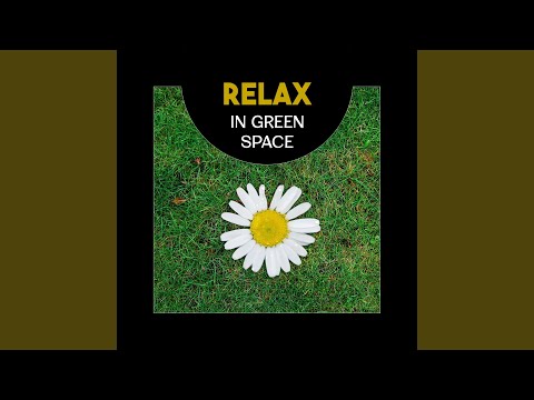 Смотреть «Happiness in Simplicity» на YouTube