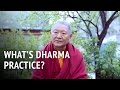 Ringu Tulku – What is Dharma Practice?
