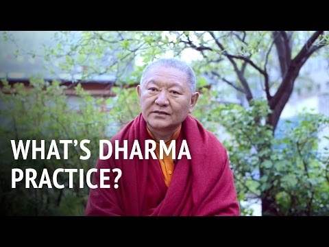Video: ¿Es dhamma y dharma?