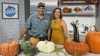 How to pick the perfect pumpkin for every fall activity