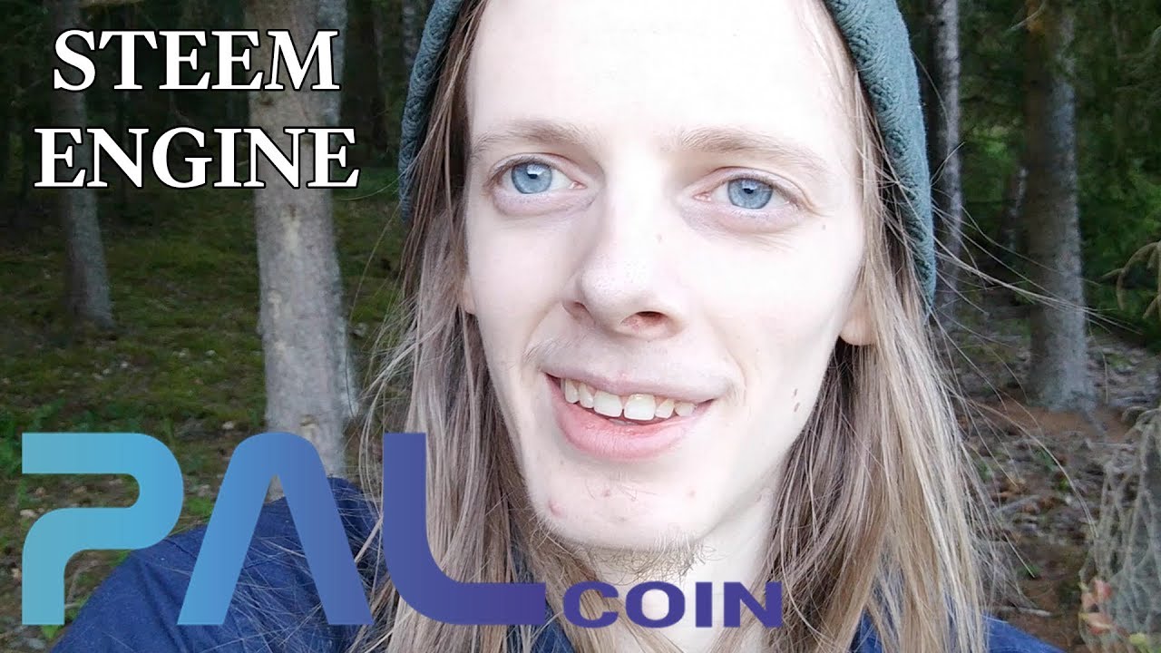 Today I Discovered Palcoin