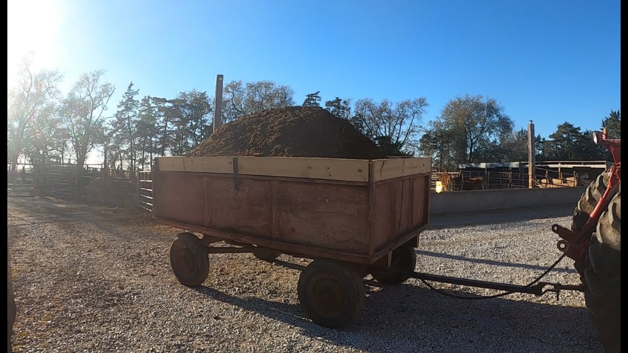 Hauling Manure without A Spreader YouTube hauling-manure-without-a-spreader-youtube