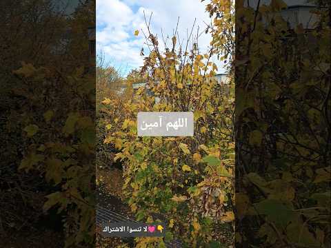 دعاء الحب اللهم اكتب لنا نعمة محبتك و محبة خلقك ومحبة من احببت من خلقك دعاء