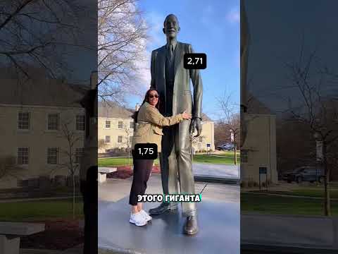 Кто же по-настоящему выше 😳