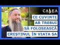  ce cuvinte ar trebui s foloseasc cretinul n viaa sa  pr chiril