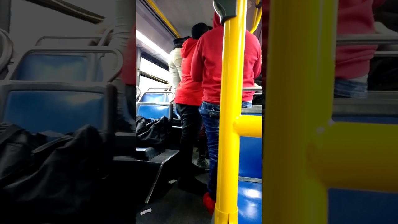 Bus Driver Arguing Arguing in on the bus 🚌 🚌 🚌 - YouTube