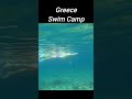 Le Crawl D Un Nageur à 4 Minutes Au 400 Swimming Crawl Le Crawl D Un Nageur à 4 Minutes Au 400 Swimming Crawl
