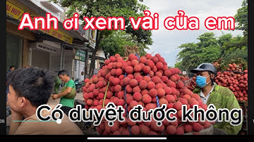 Vải Thiều lục ngạn BG cập Nhật giá ngày 15/6/2023.tại kim 1 Phượng Sơn 8h sáng vải rớt giá thế thảm.