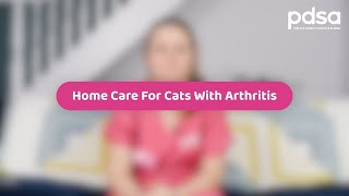 Home Care For Cats With Arthritis | Pet Health Advice by PDSA 3,191 views 1 year ago 1 minute, 21 seconds