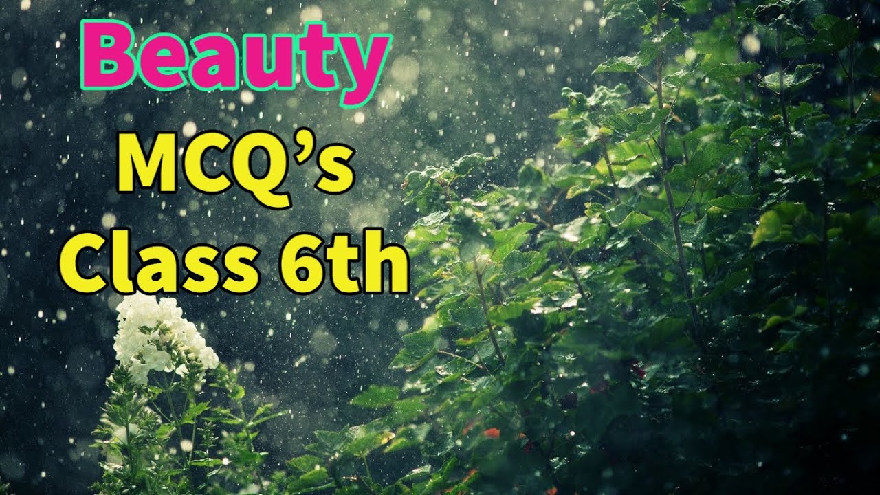 MCQ'S | Beauty (poem-4) | Class 6th | NCERT - Honey Suckle - YouTube