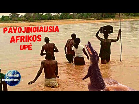 Video: Įvadas į Pietų Afrikos Transkei regioną