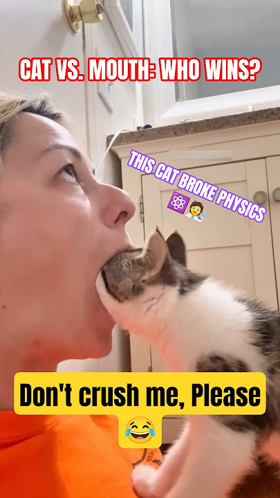 The Funniest Cat Video You'll See Today. 🎉😂 (Seriously.) #cat #cats #catfails