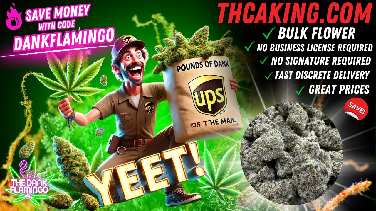 Bulk Wholesale Indoor Gelato QP from THCA King! Dankin with the Flamingos Review!!
