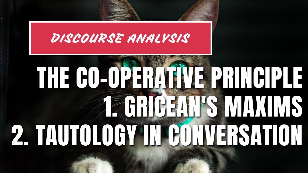 The Cooperative Principle | Gricean Maxims | Tautology In Conversation ...