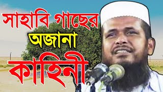 নবীর প্রেমে মরা গাছ জিন্দা হওয়ার আলোচনা | মাওলানা তোফাজ্জল হোসেন ভৈরবি | Mawlana Tofazzal Hosaain