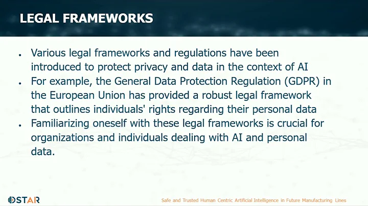 4. Privacy and Data Protection in AI