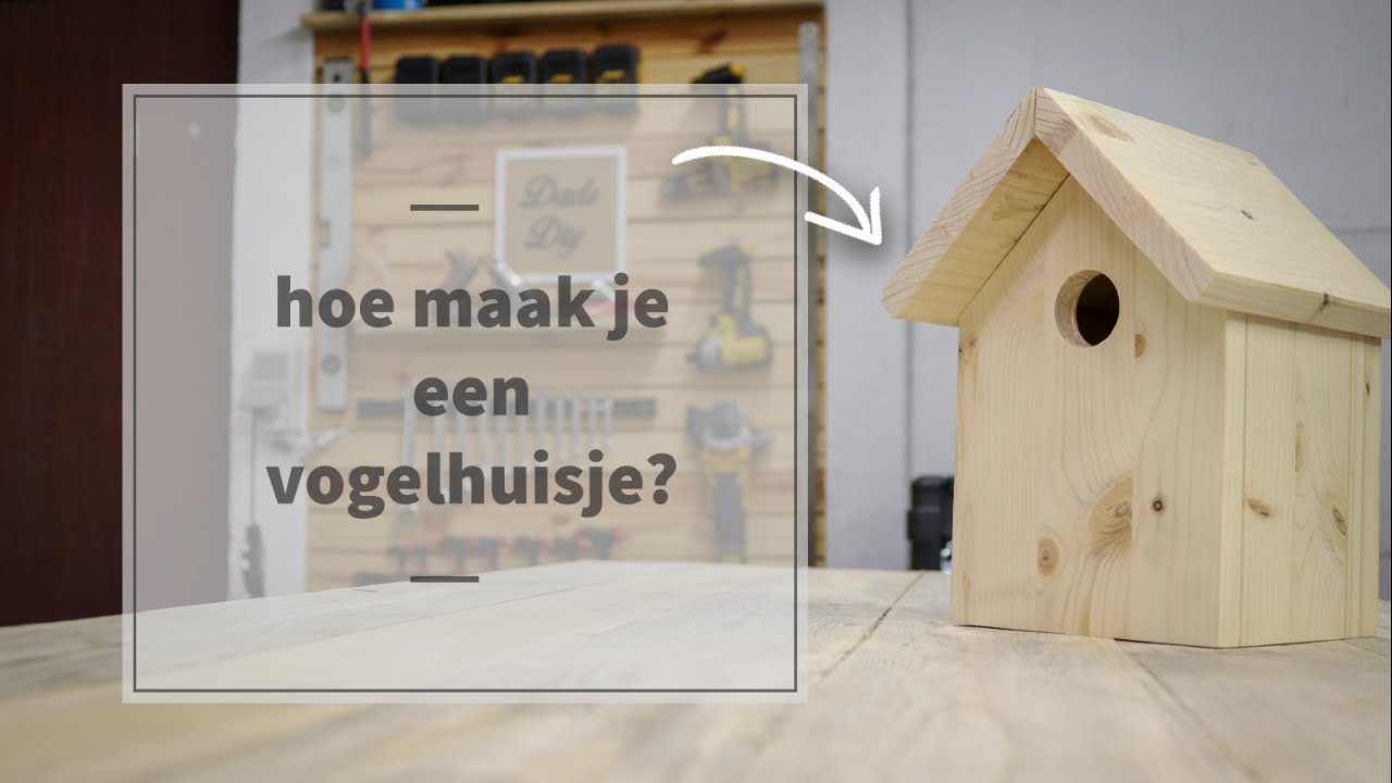 Beweren Notebook Mus Hoe maak je een vogelhuisje? + Gratis Bouwtekening - YouTube