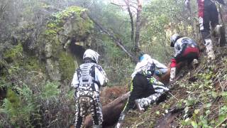 Santa Cruzing - Cody Webb, Justin Sode And Peter Weiss