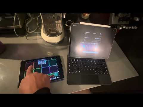 DJ Divine Justice shows how to use multiple iOS devices with @Loopy-Pro !!
