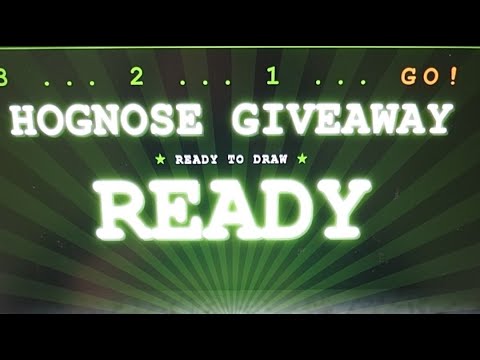 Hognose Giveaway Live Stream!