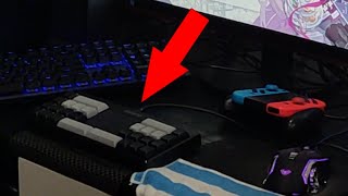 Famous I tried playing Arcaea...with a keyboard!? Net Worth
