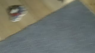 разнообразие в прямом эфире
